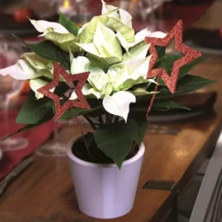 Kerstster Artic Wit Met Pot