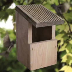 Nestkast Roodborstje