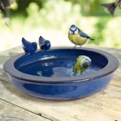 Vogelbadje Blauw En Rond