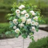 Standard Pot Rose White 120/140 Cm