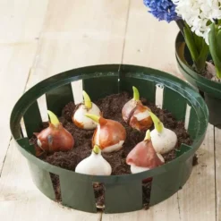 Bollenplantmand 32x32x8cm Set Van 3