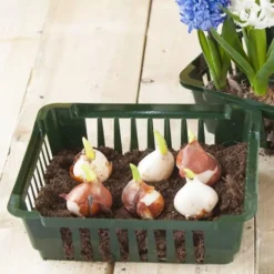 Bollenplantmand H7,5 X 25 X 21cm