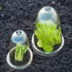 Kweekkap Met Ventilatie En Grondpennen