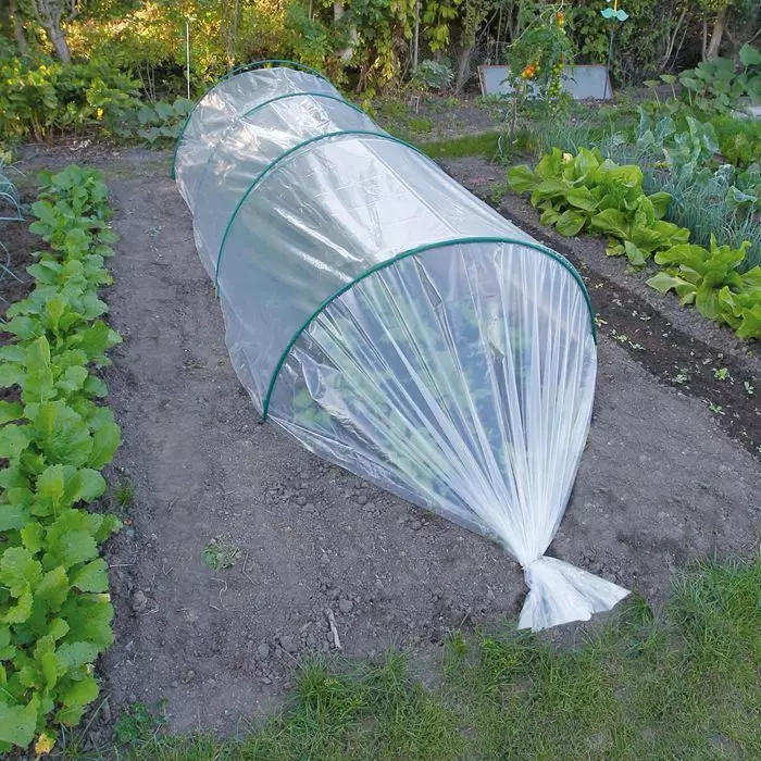 Groeifolie Voor Zaad Transp. 2x10m 50µ 1 Groeifolie Voor Zaad Transp. 2x10m 50µ