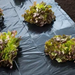 Afdekfolie Zwart 30µ 1,40x5m