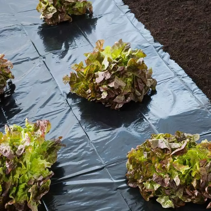 Afdekfolie Zwart 30µ 1,40x10m 1 Afdekfolie Zwart 30µ 1,40x10m