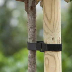 Klittenboomband Met Gesp 40x2,5cm 2 St.