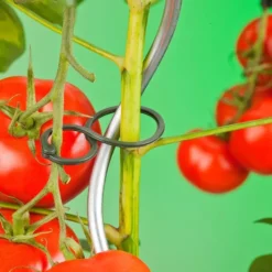 Tomatenplantringen Ø65mm Set A 25 Stuks