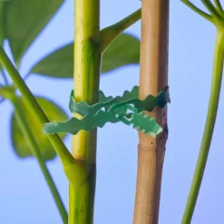 Bindband Met Rattenstaartsluiting 25m