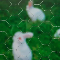 Gaas Zeskantig 40x40mm Verzinkt 50cmx5m