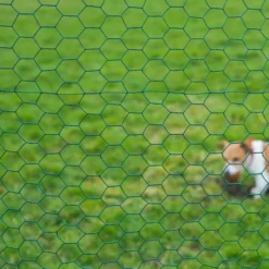 Gaas Zeskantig 25x25mm Geplastificeerd