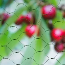 Tuinnet Nano Groen Maaswijdte 15x15mm 10