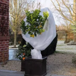 Winterafdekvlies Wit 1x10m 30 G/m²