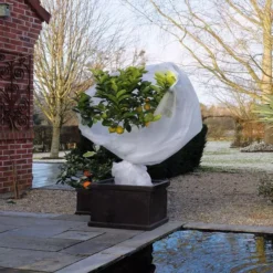 Winterafdekvlies Wit 4x6m 30 G/m²