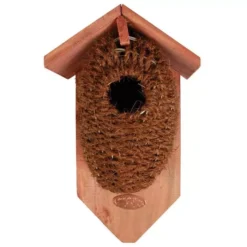 Nestbuidel Kokos