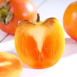 Diospyros Kaki -Tuinplanten fd19794wh jpg