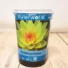 Nymphaea Yellow