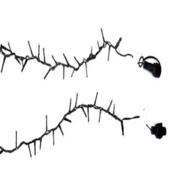 LEDs Connect Verlenging