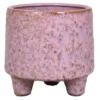 Pot Op Voet Levendig Roze 12 Cm