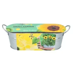 Zaaiset Mini Zonnebloem