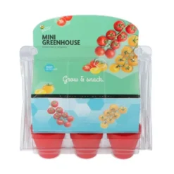 Zaaiset Sweet Cherry Tomaten