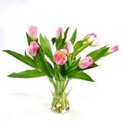 Tulpenbos Roze