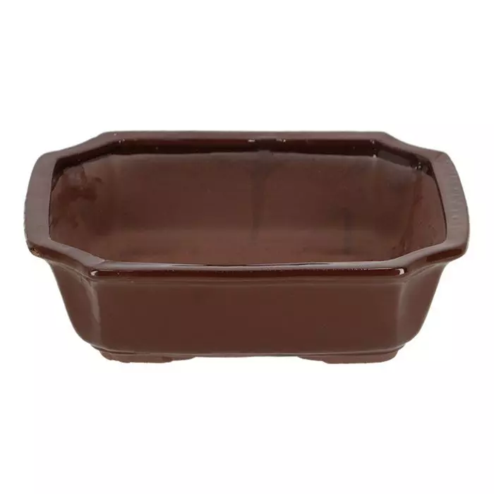 Bonsai Pot Rechthoekig (XL) 1 Bonsai Pot Rechthoekig (XL)